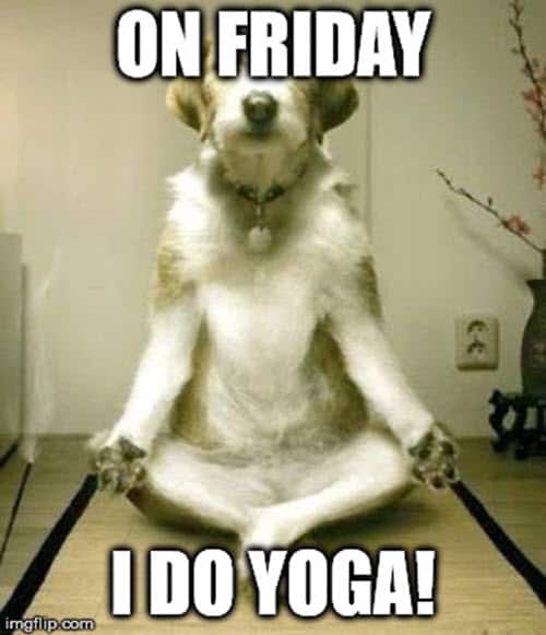 yoga friday memes