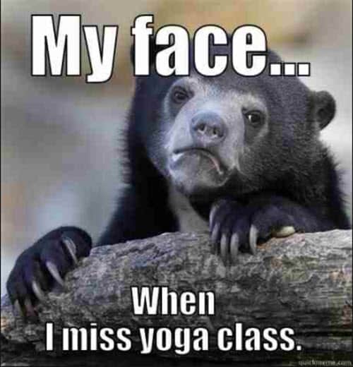 yoga my face memes