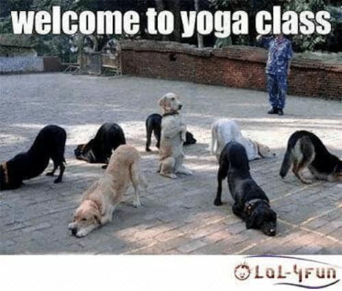 yoga welcome memes