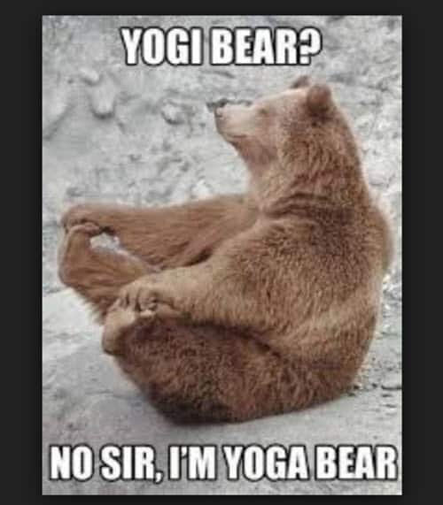 yoga yoga bear memes