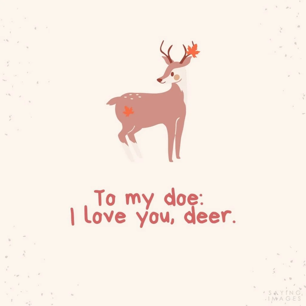 anniversary doe deer quotes