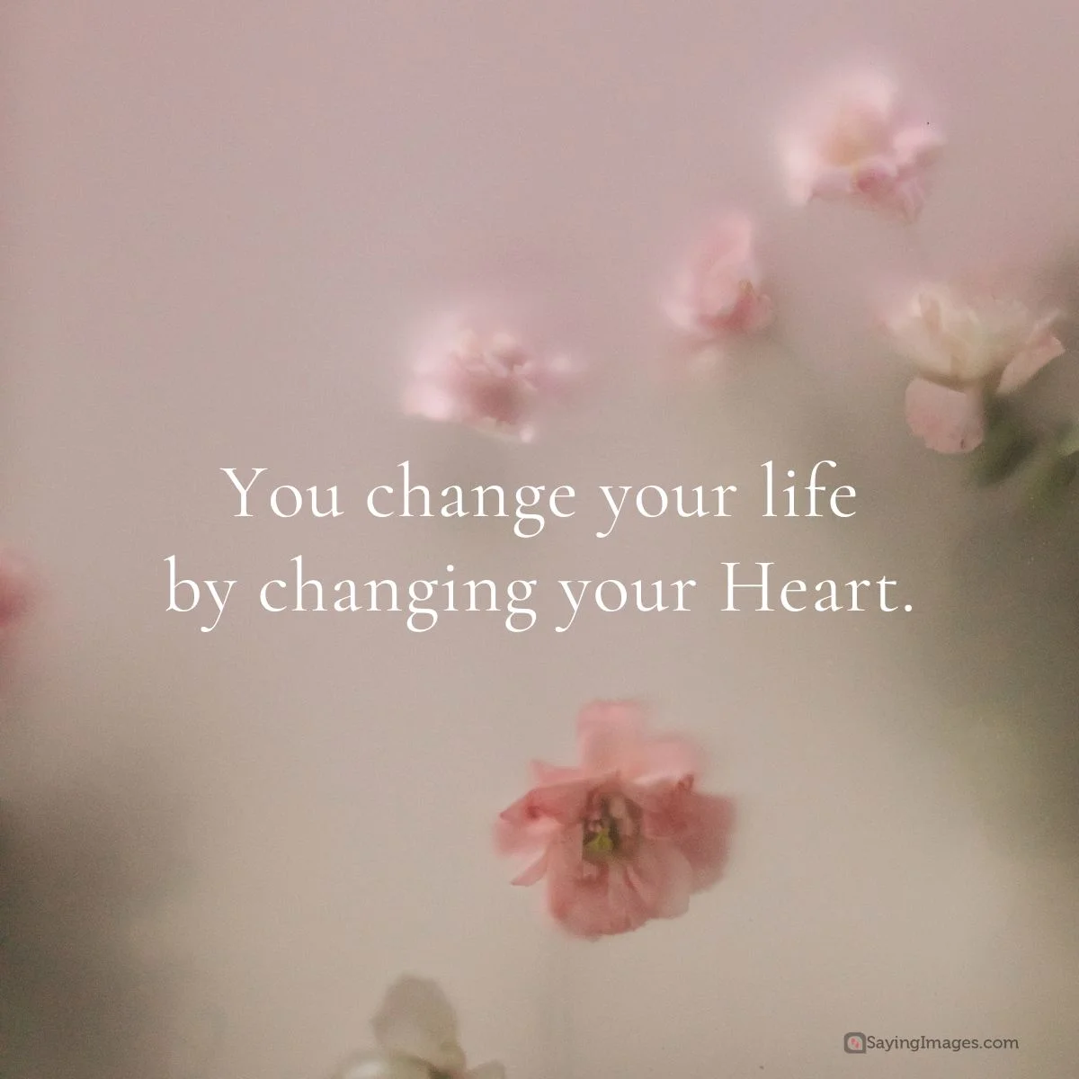 You change your life by changing your heart