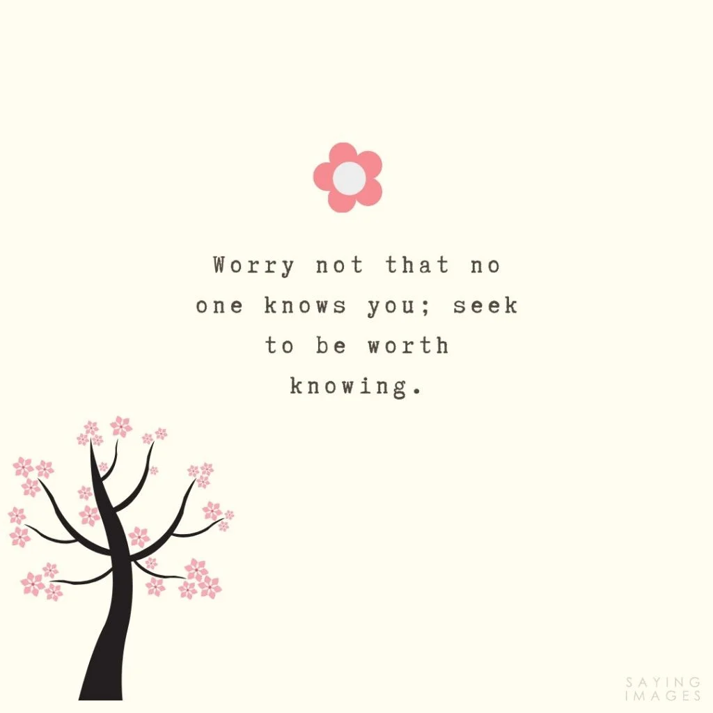 confucius worry quotes