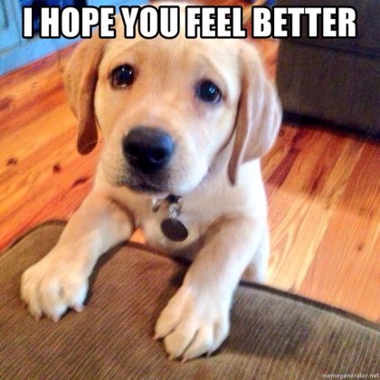 20 Laughable Memes To Make Anyone Feel Better About Life - SayingImages.com