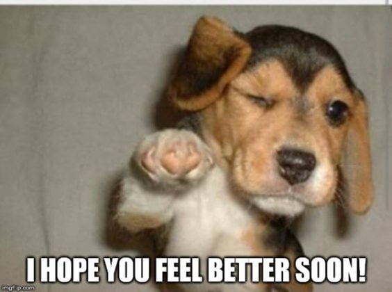 20 Laughable Memes To Make Anyone Feel Better About Life SayingImages