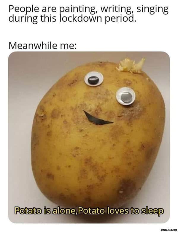 30 Potato Memes That Are Guaranteed To Make Your Day 