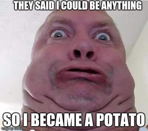 potato they said meme