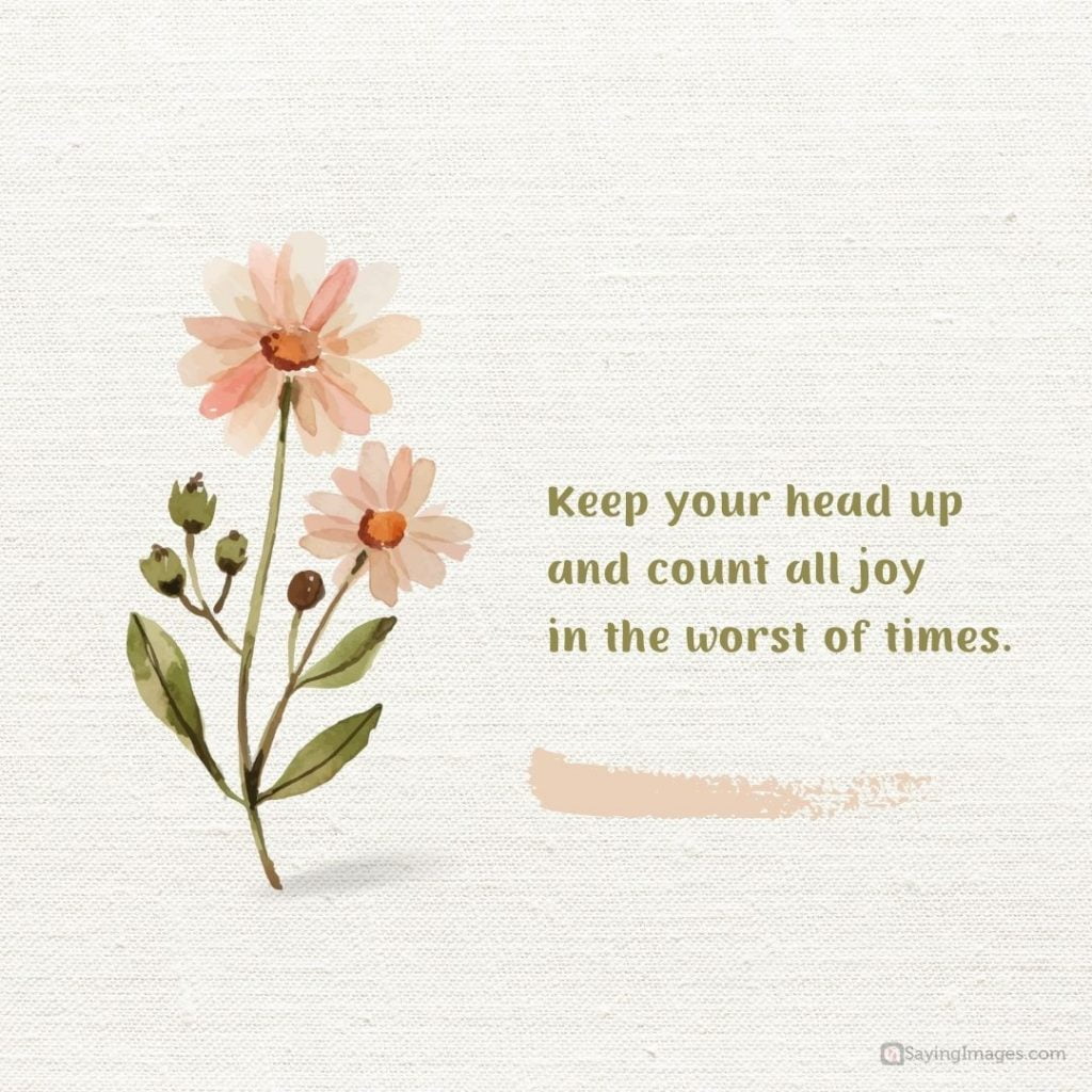 keep your head up count all joy quotes