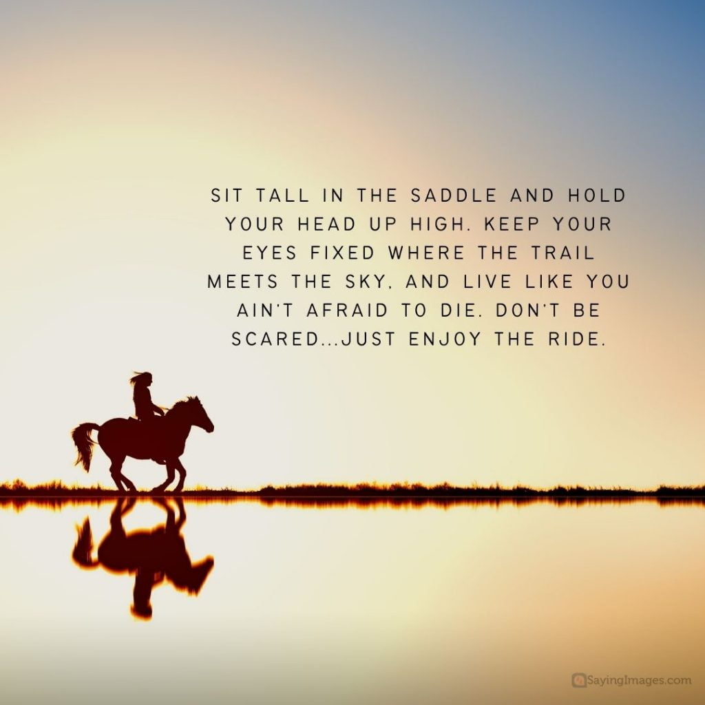 keep your head up saddle quotes