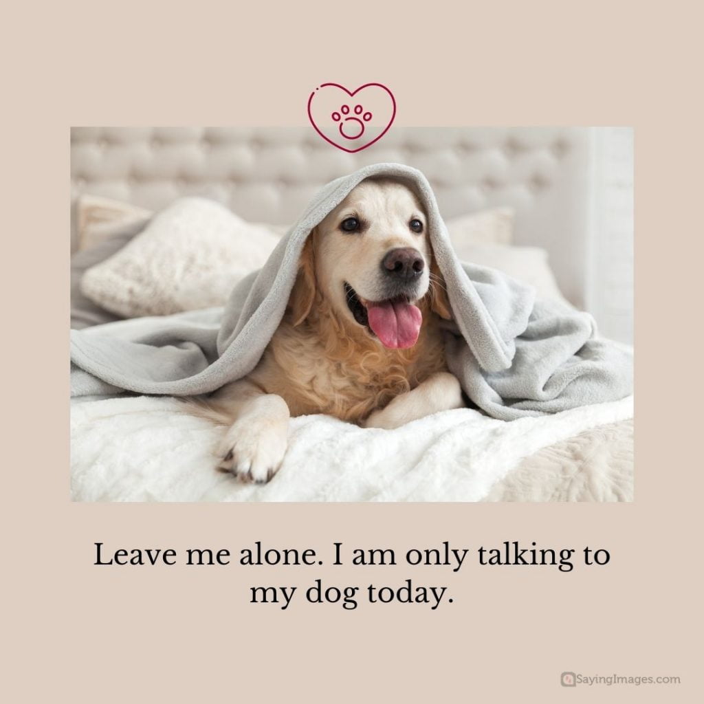leave me alone only talking to my dog quotes