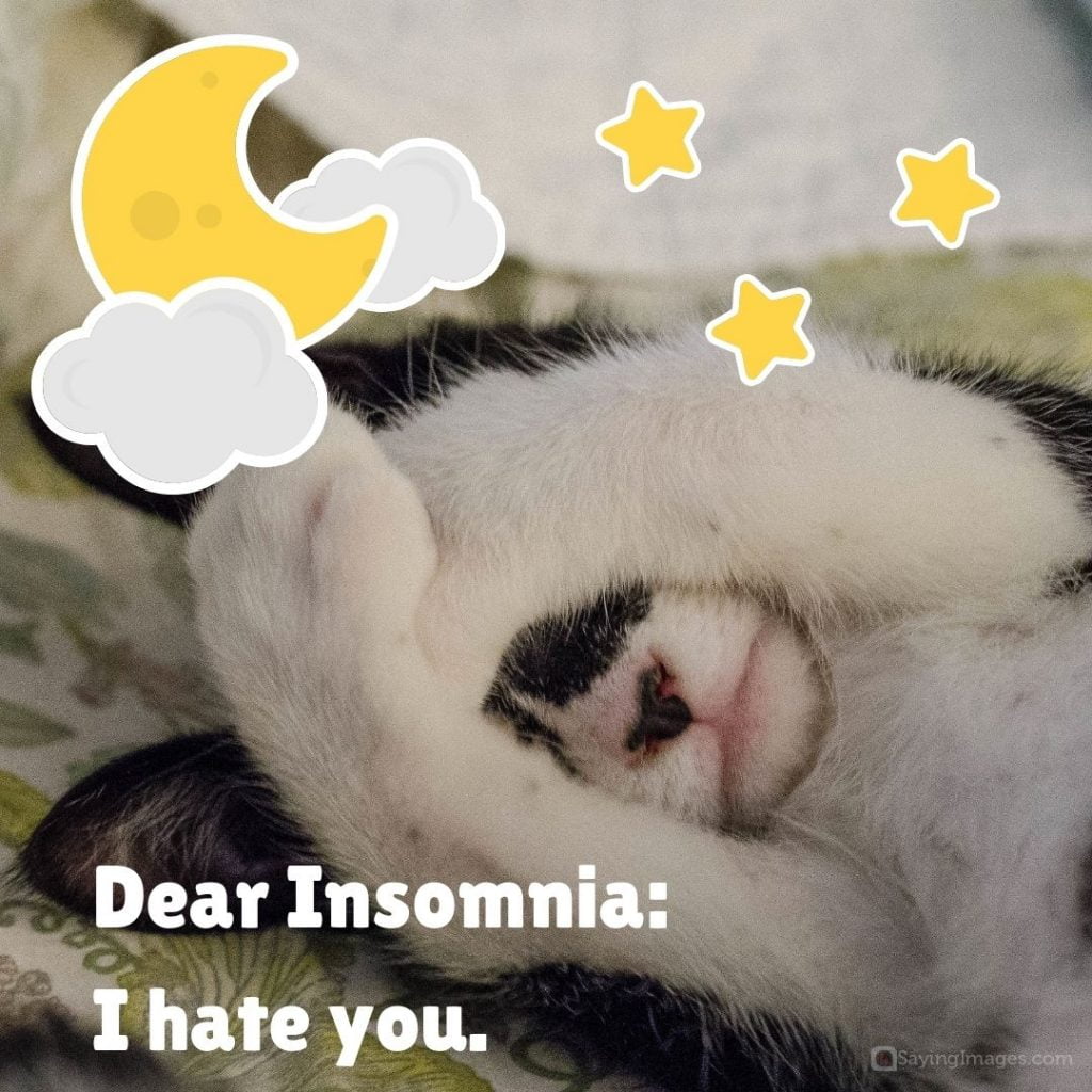 quotes on insomnia dear
