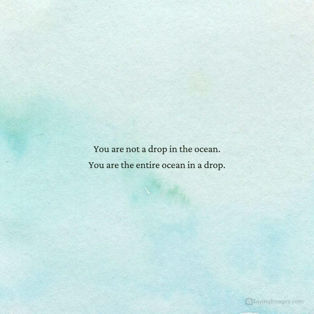 you are the entire ocean in a drop quote