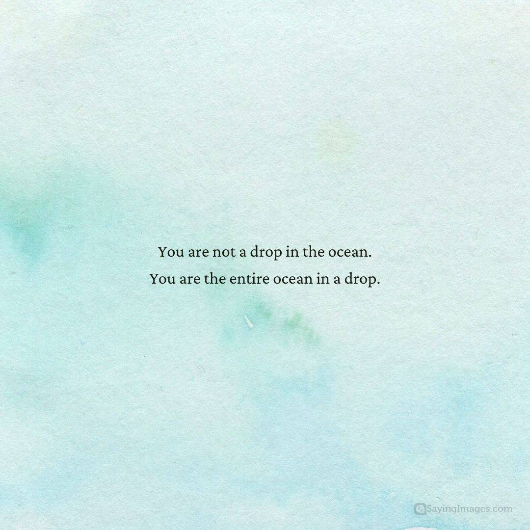 you are the entire ocean in a drop quote
