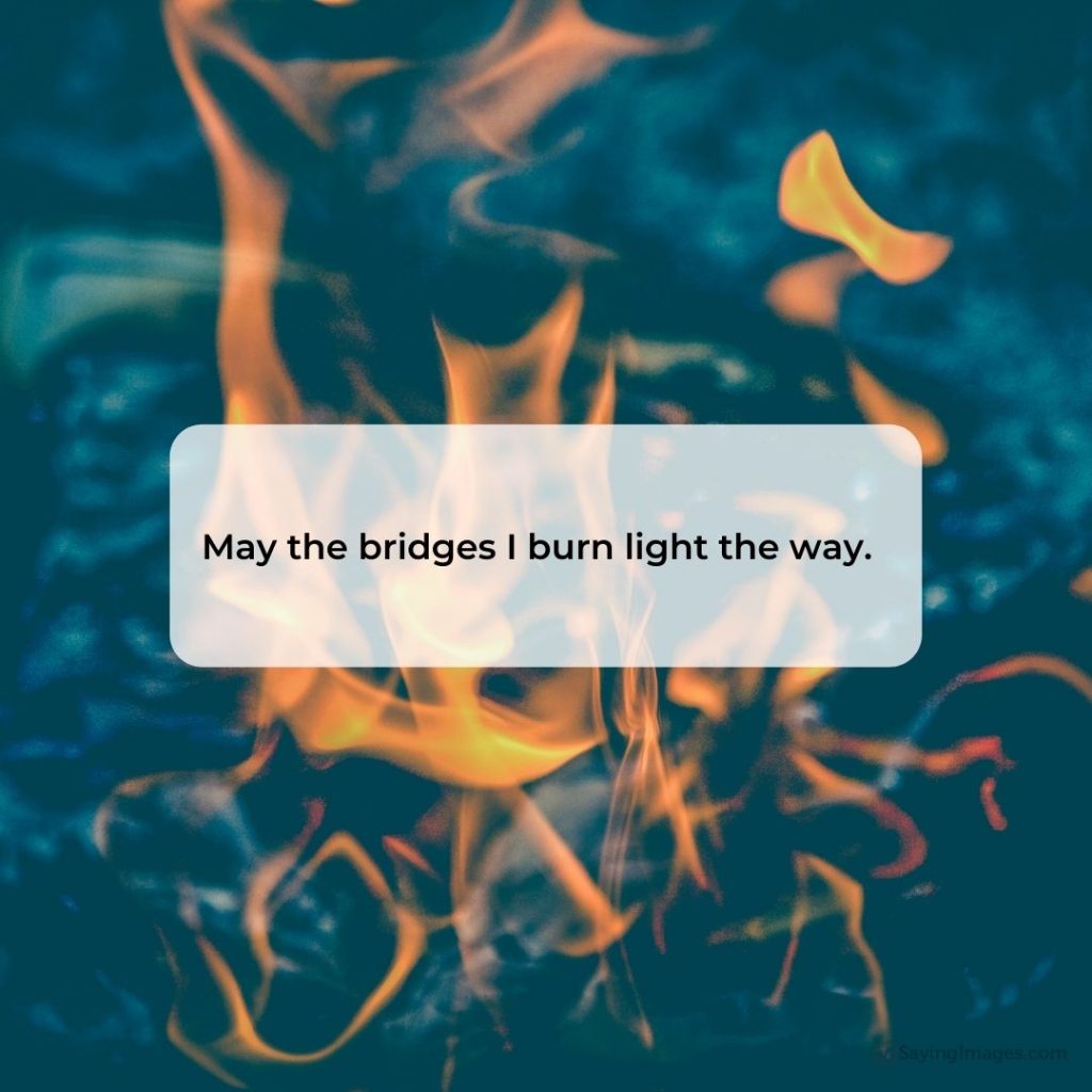 bridges i burn light the way quotes