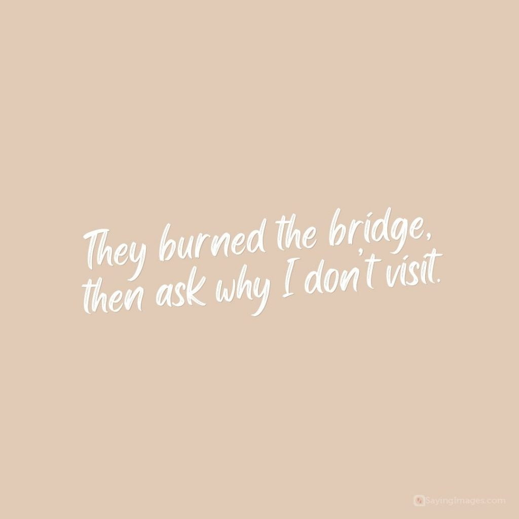 burned bridges quotes