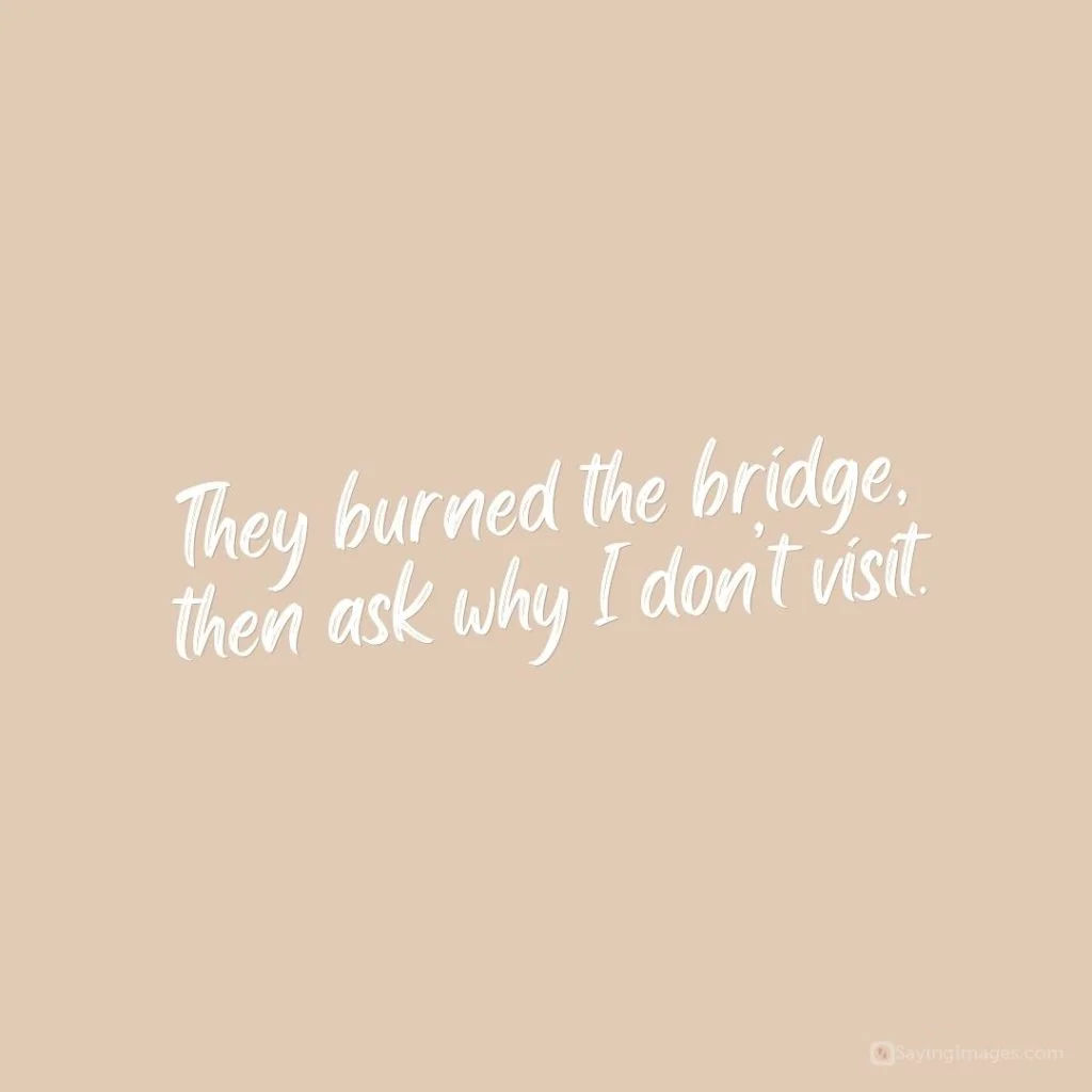 burned bridges quotes