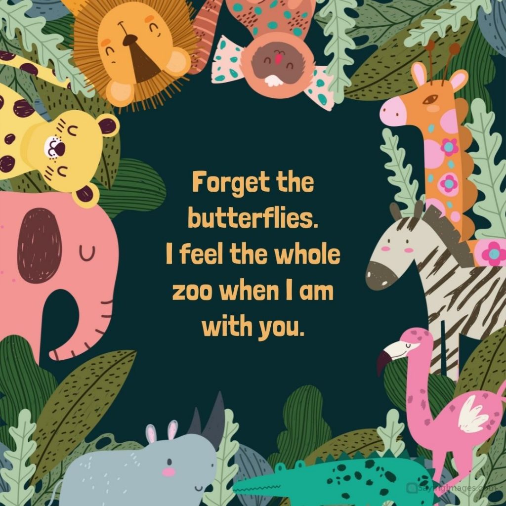cheesy love whole zoo quotes