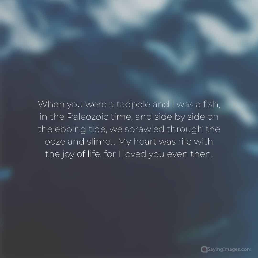 Eternal Love Quote 