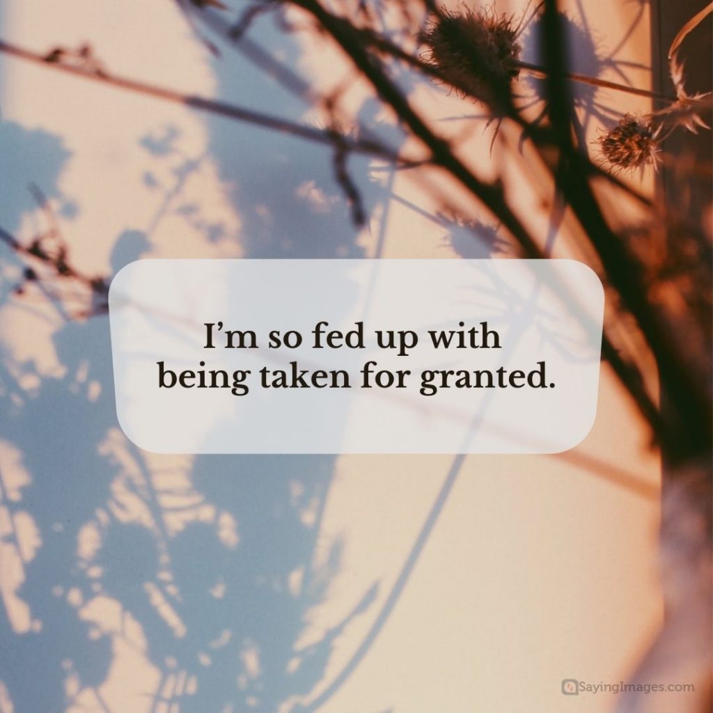 70 Fed Up Quotes That Will Help You Get Your Redemption Arc