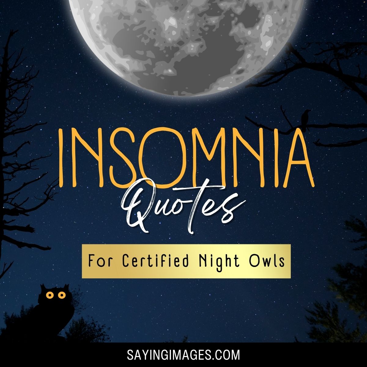 Quotes on Insomnia
