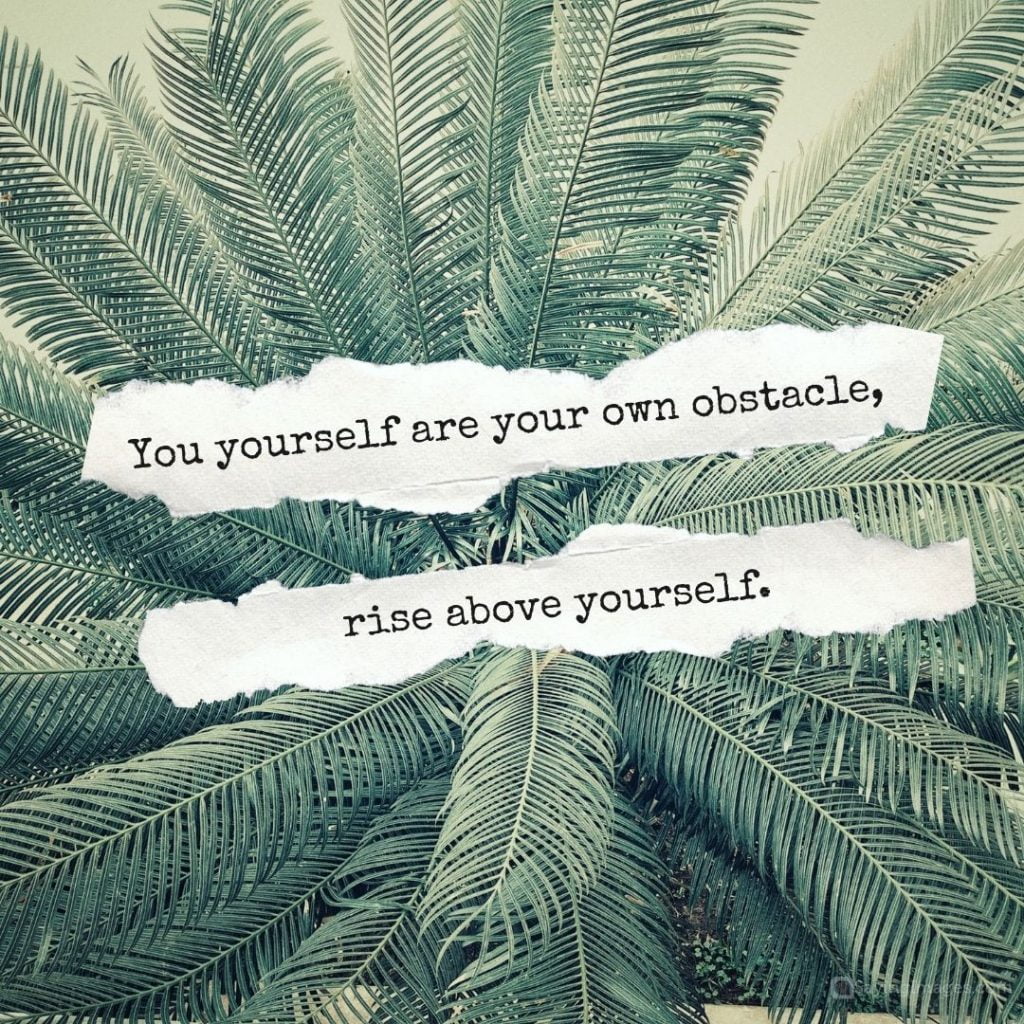 rise above yourself quotes