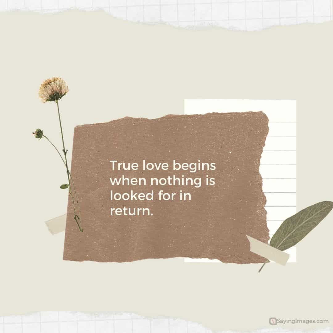 True love begins when nothing is looked for in return quote