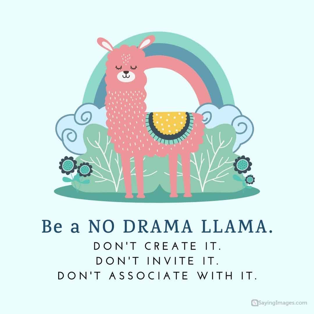 70 Quotes To Help You Live A No Drama Life 