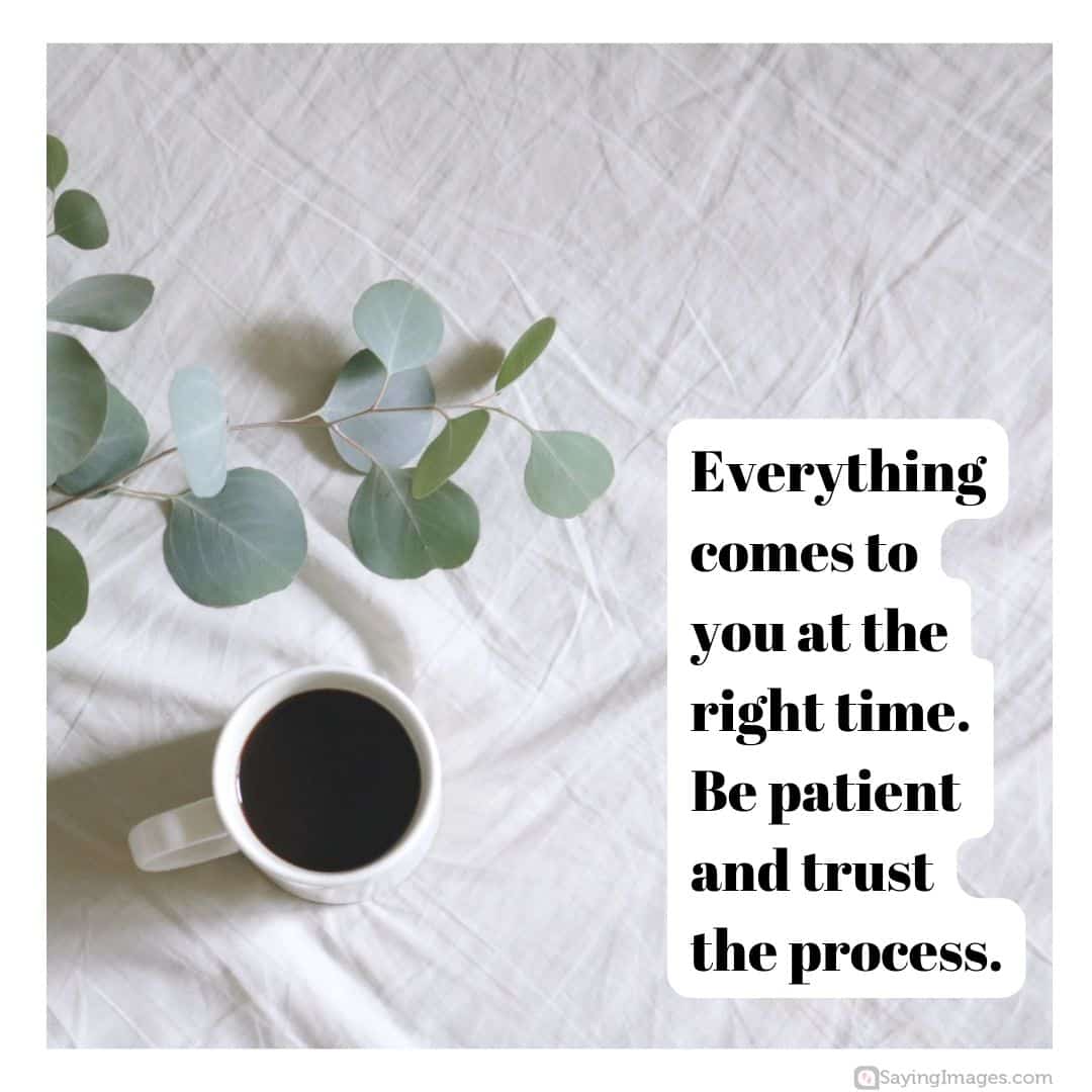 be patient trust the process quote