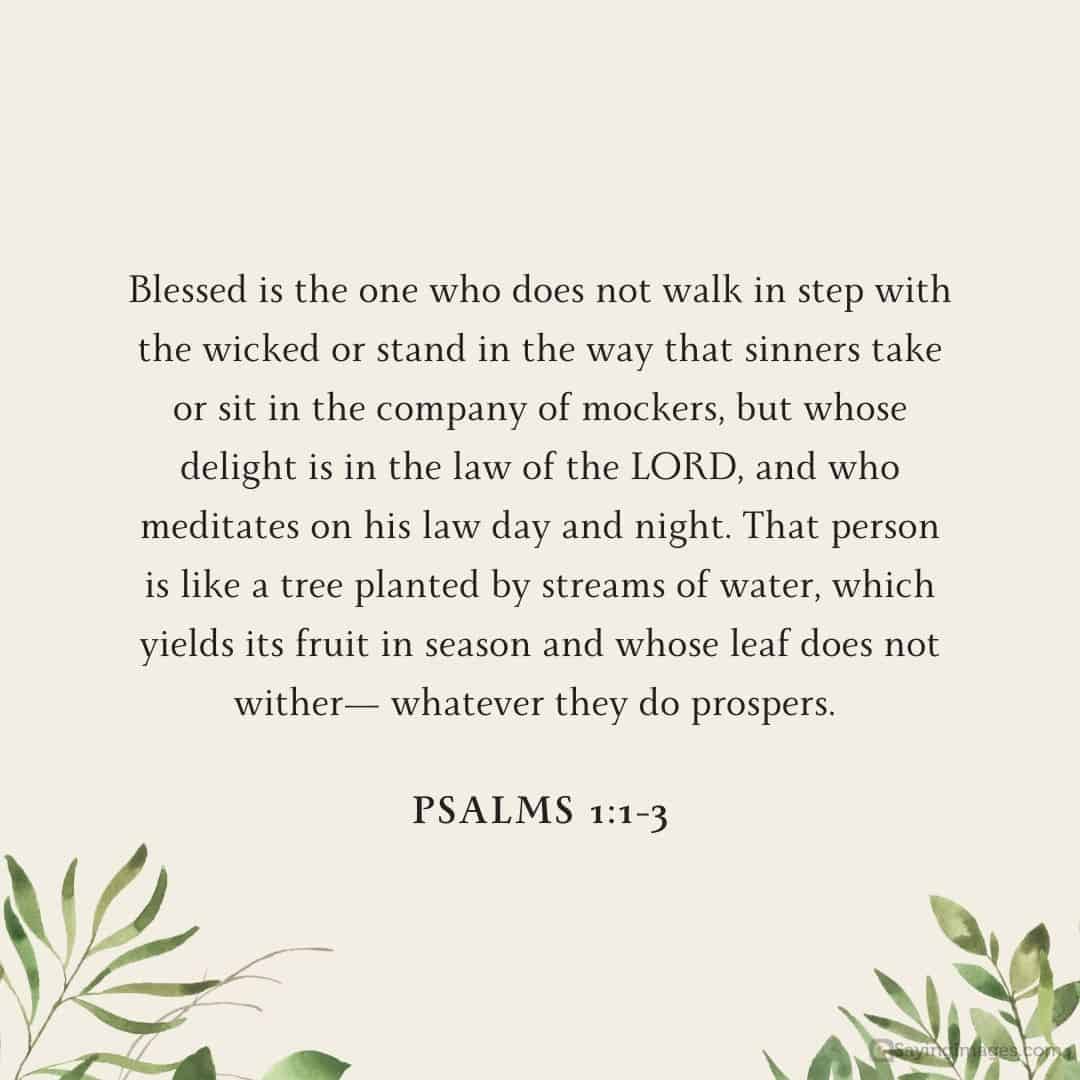 Psalms 1:1-3 quote