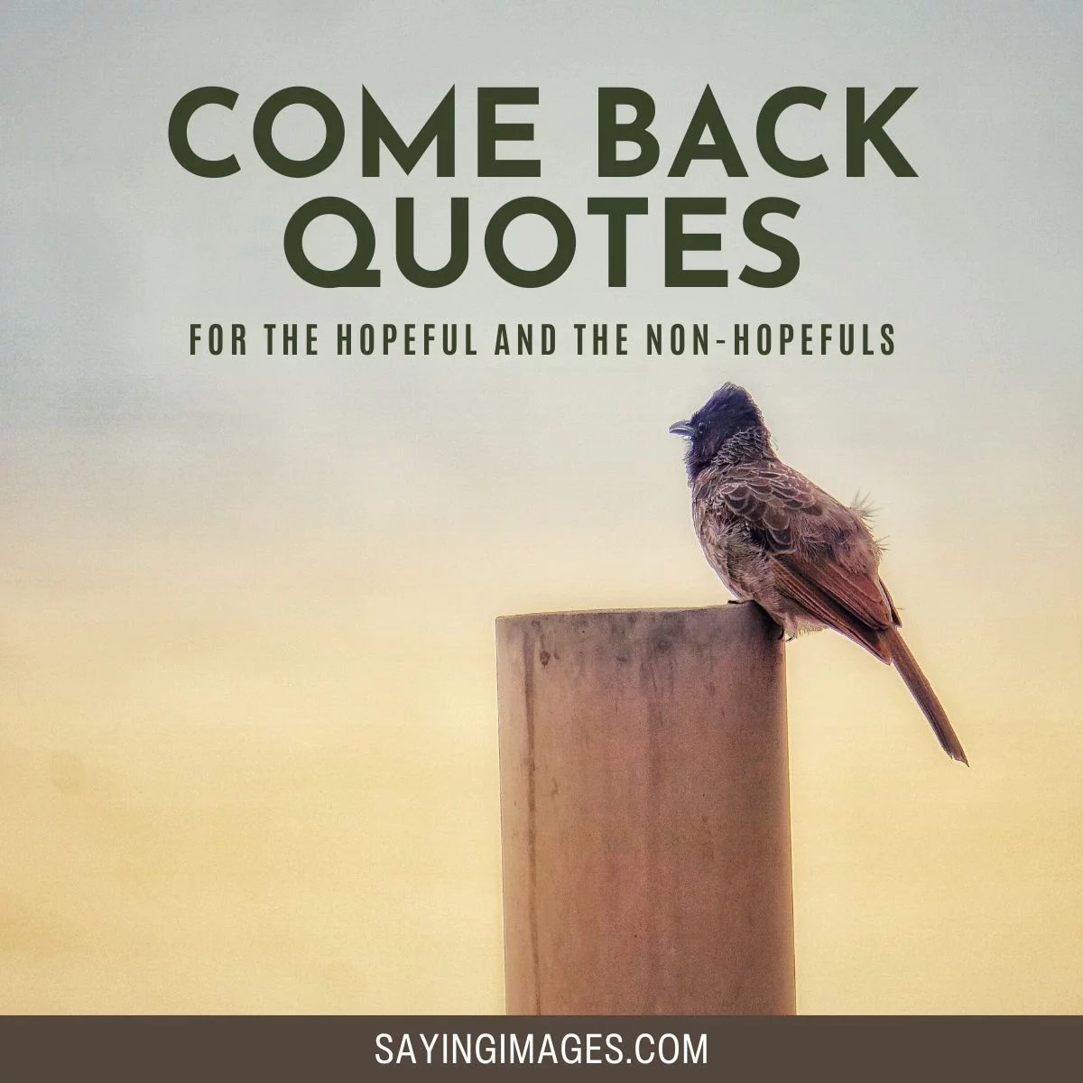 Come Back Quotes