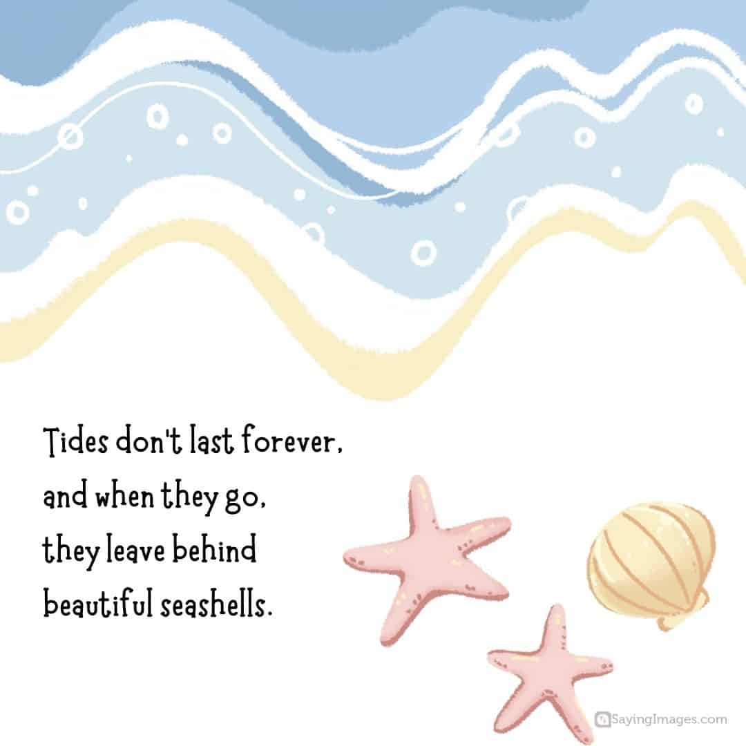 Tides don’t last forever, and when they go, they leave behind beautiful seashells quote