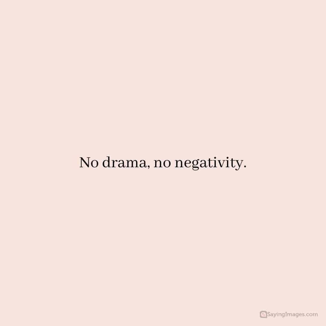 No Drama Quotes And Sayings