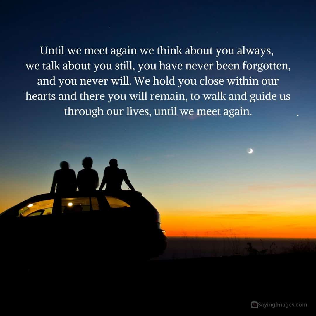 Until We Meet Again Quotes And Sayings