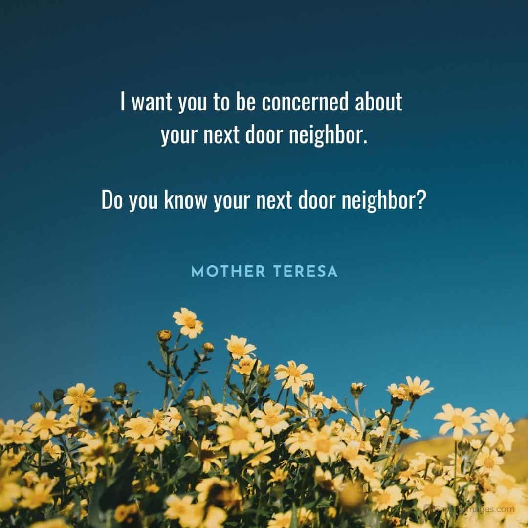 mother teresa quote