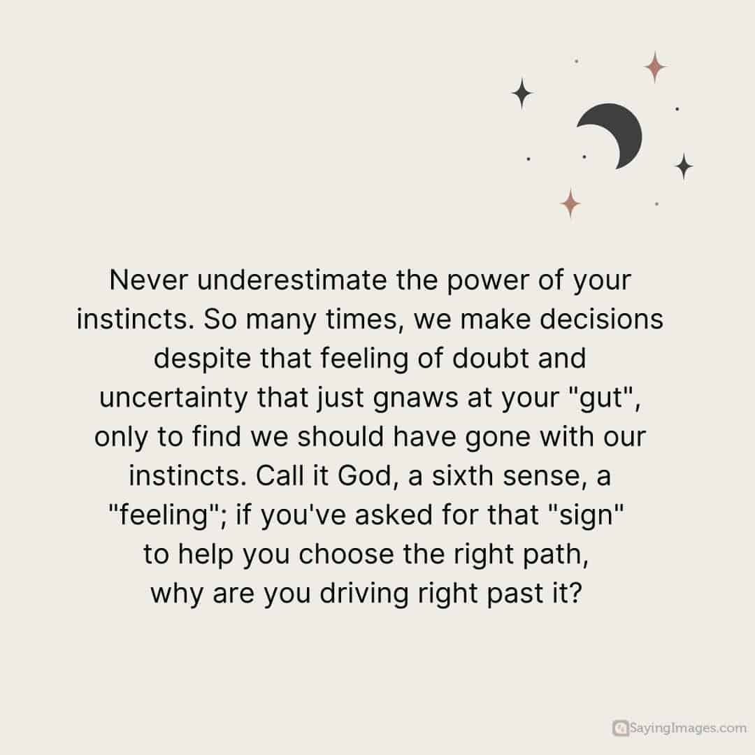 Never underestimate the power of your instincts quote