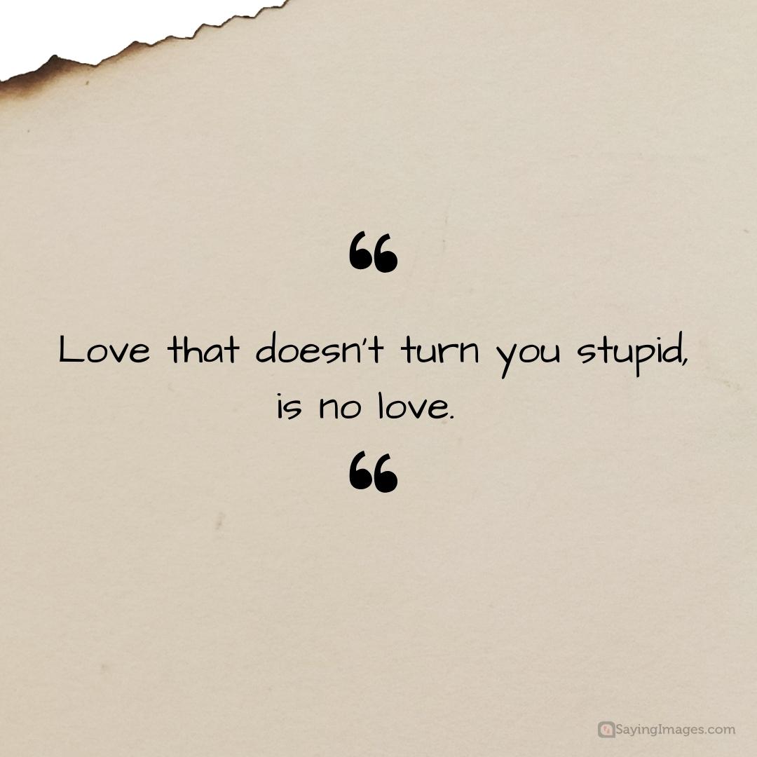 stupid cute love quotes