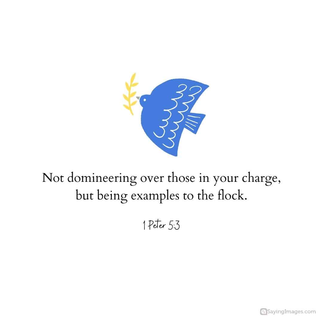 1 Peter 5:3 quote