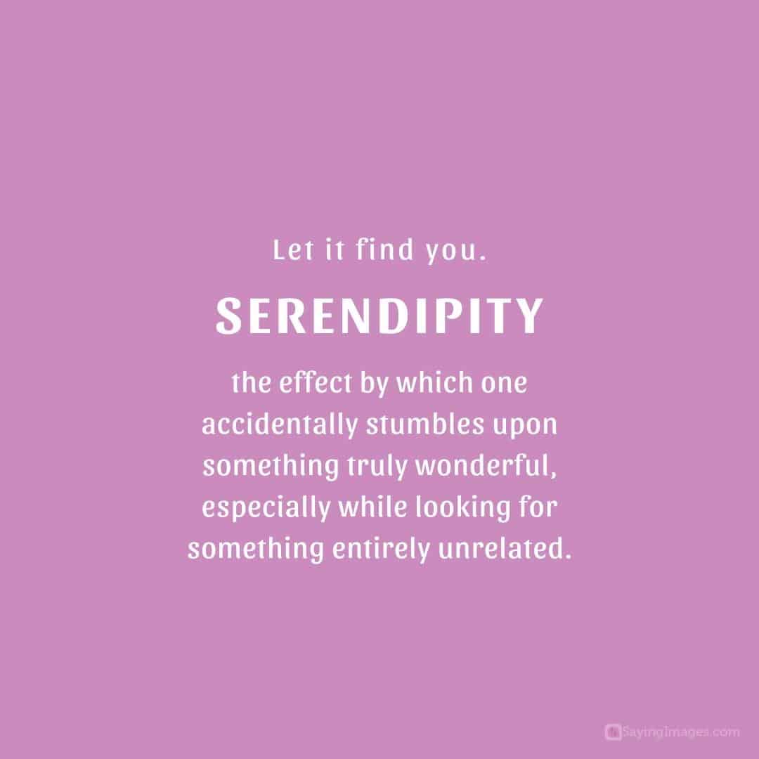 Let it find you. SERENDIPITY quote