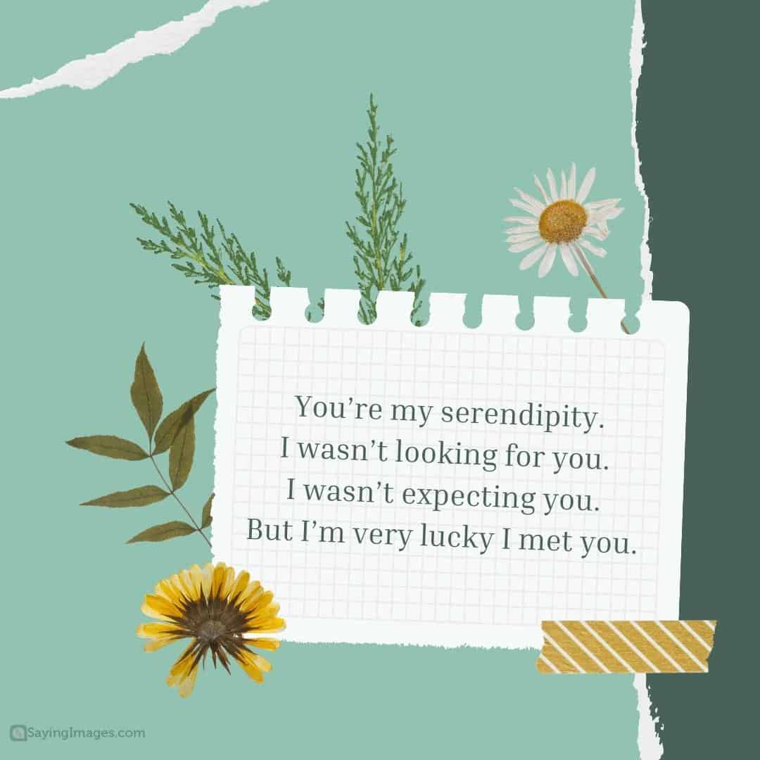 You’re my serendipity quote