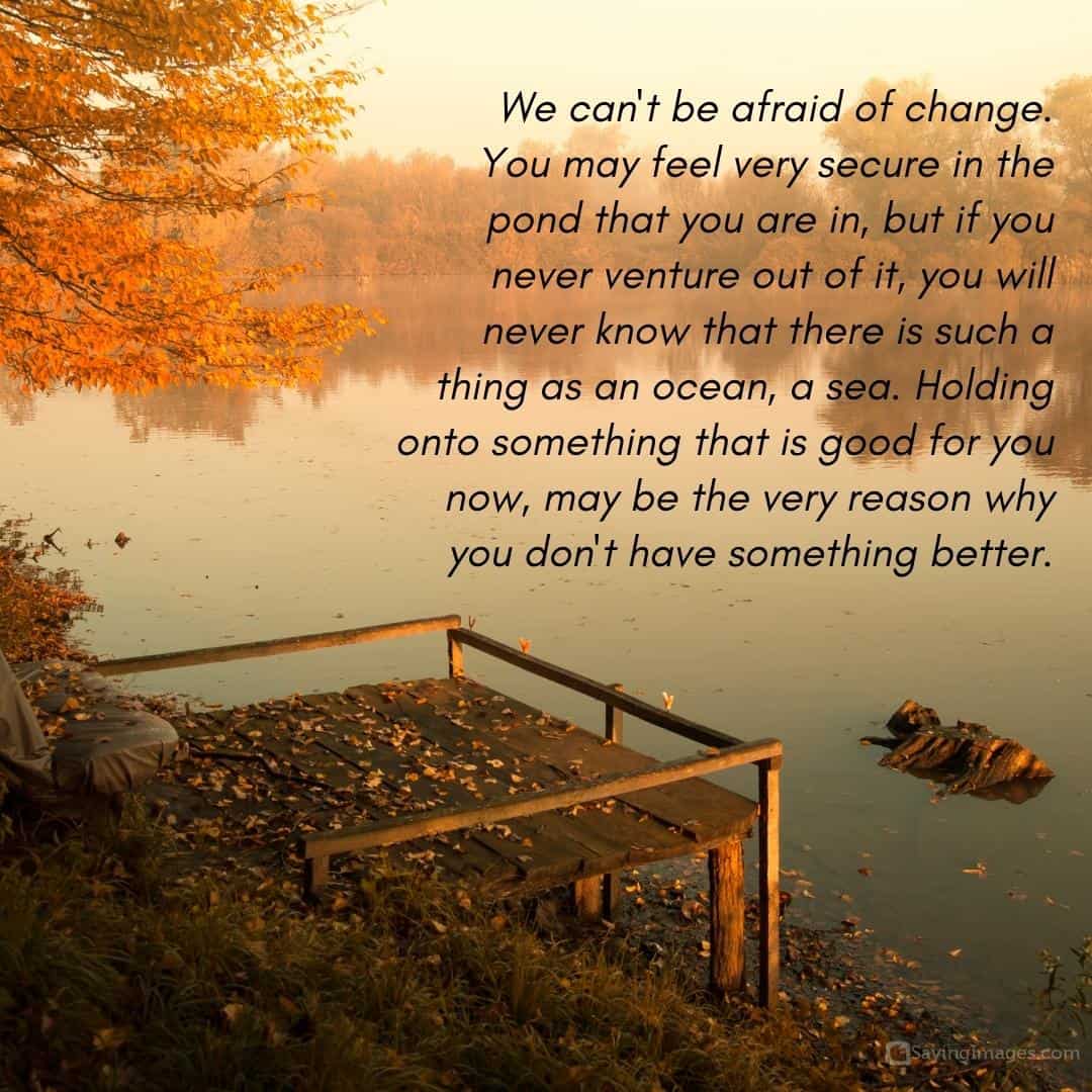 We can't be afraid of change quote