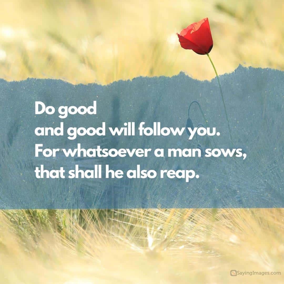 Do good and good will follow you quote