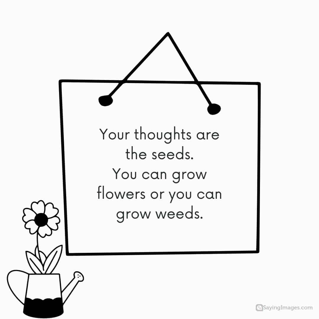 Your thoughts are the seeds. You can grow flowers or you can grow weeds quote