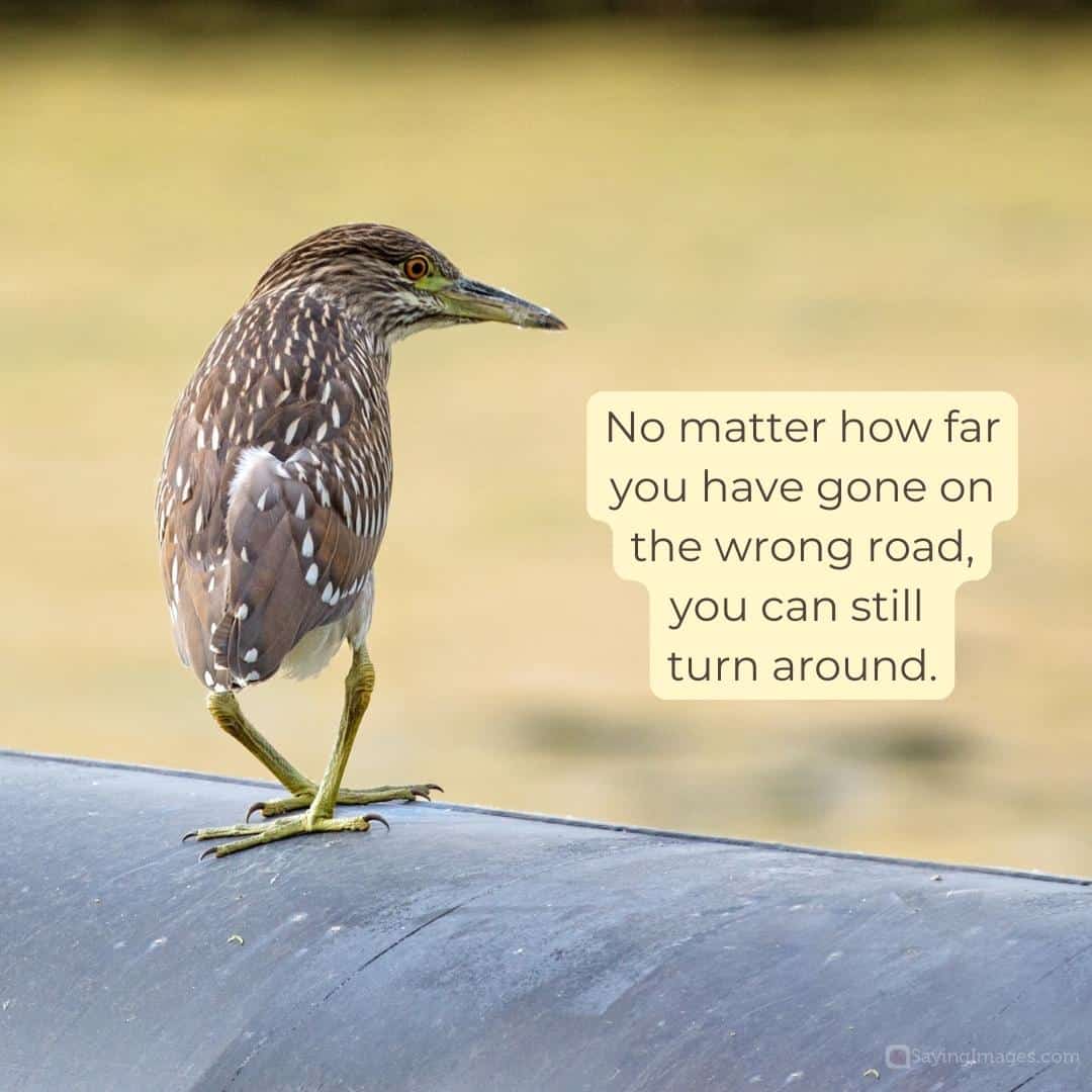 No matter how far you have gone on the wrong road, you can still turn around quote