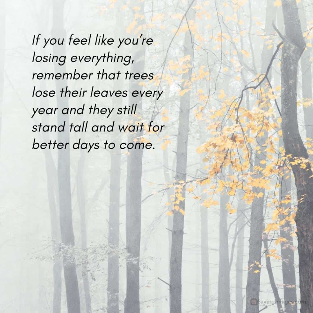 If you feel like you’re losing everything quote