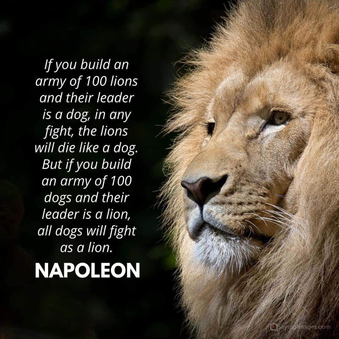napoleon quote