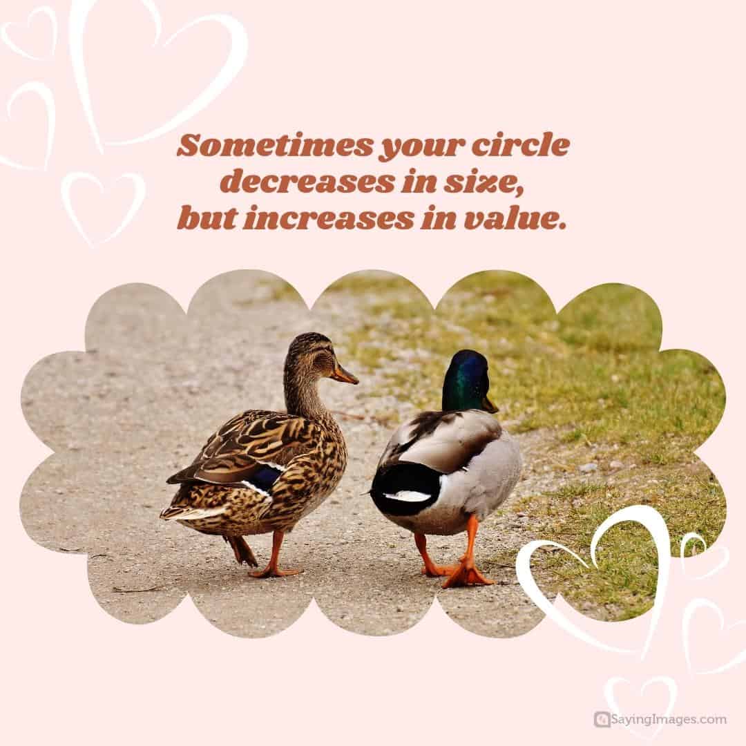 Sometimes your circle decreases in size, but increases in value quote