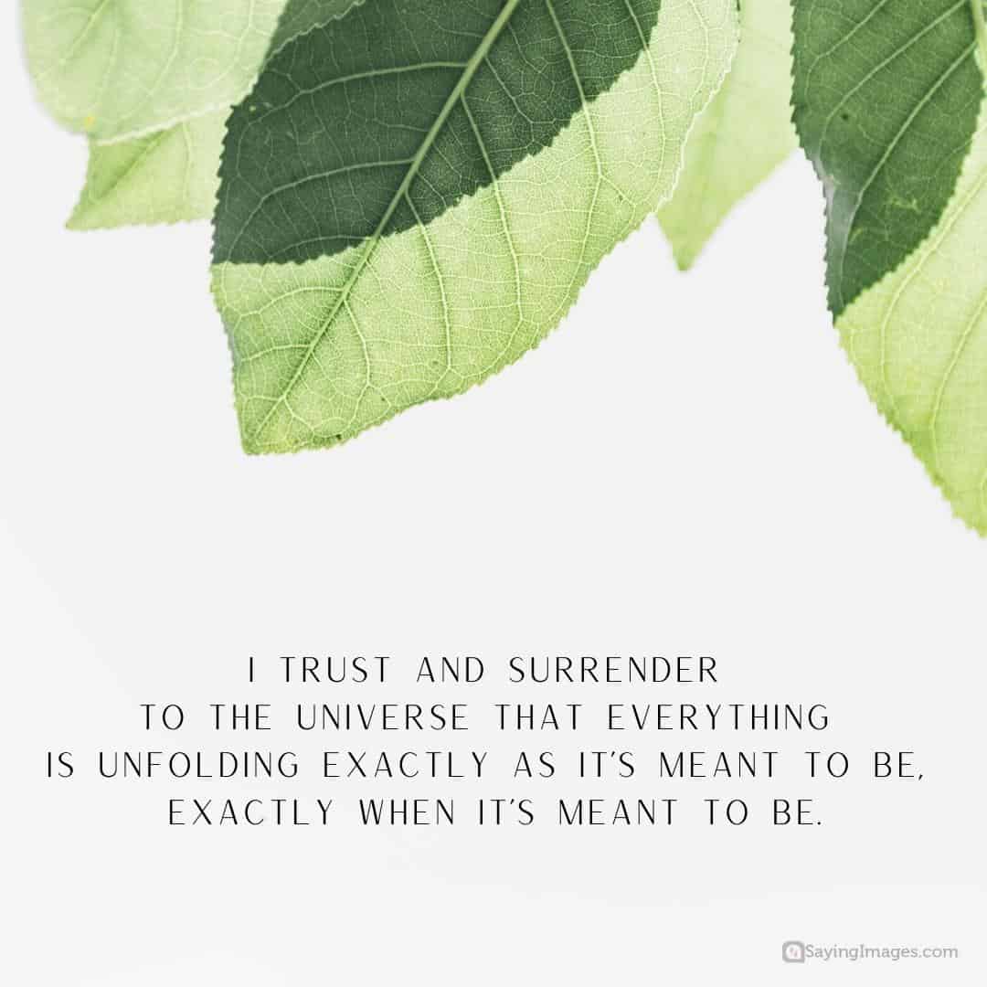 I trust and surrender to the universe quote