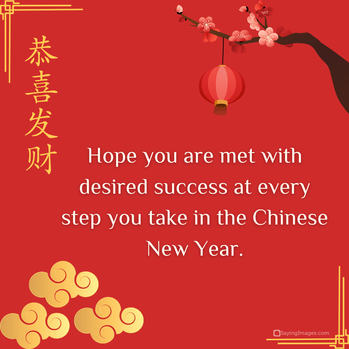 Hope you are met with desired success at every step you take in the Chinese New Year.