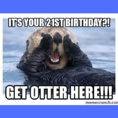 21° compleanno meme otter here