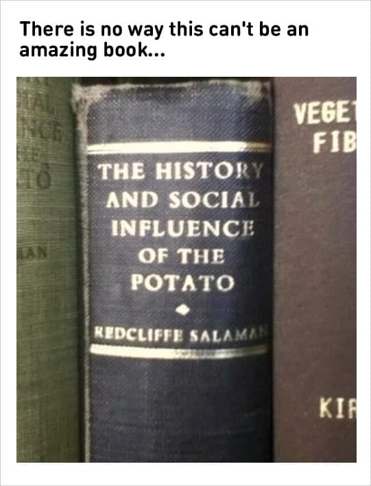 [Image: Amazing-book-Potato-Meme.jpg]